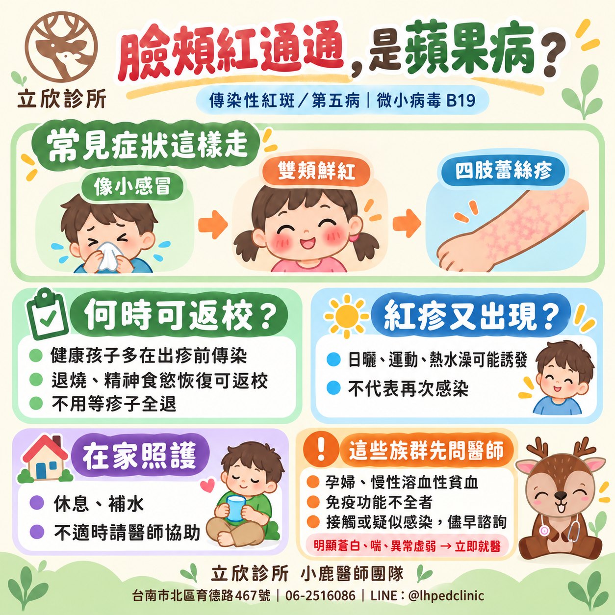 臉頰紅通通，是蘋果病？傳染性紅斑／第五病／微小病毒 B19 衛教圖。常見症狀這樣走：先像小感冒，接著雙頰鮮紅，再出現四肢蕾絲疹。何時可返校：健康孩子多在出疹前傳染，退燒、精神食慾恢復即可返校，不用等疹子全退。紅疹又出現？日曬、運動、熱水澡可能誘發，不代表再次感染。在家照護：休息、補水，不適時請醫師協助。這些族群先問醫師：孕婦、慢性溶血性貧血、免疫功能不全者，接觸或疑似感染儘早諮詢；明顯蒼白、喘、異常虛弱請立即就醫。立欣診所小鹿醫師團隊，台南市北區育德路 467 號，06-2516086，LINE @lhpedclinic。