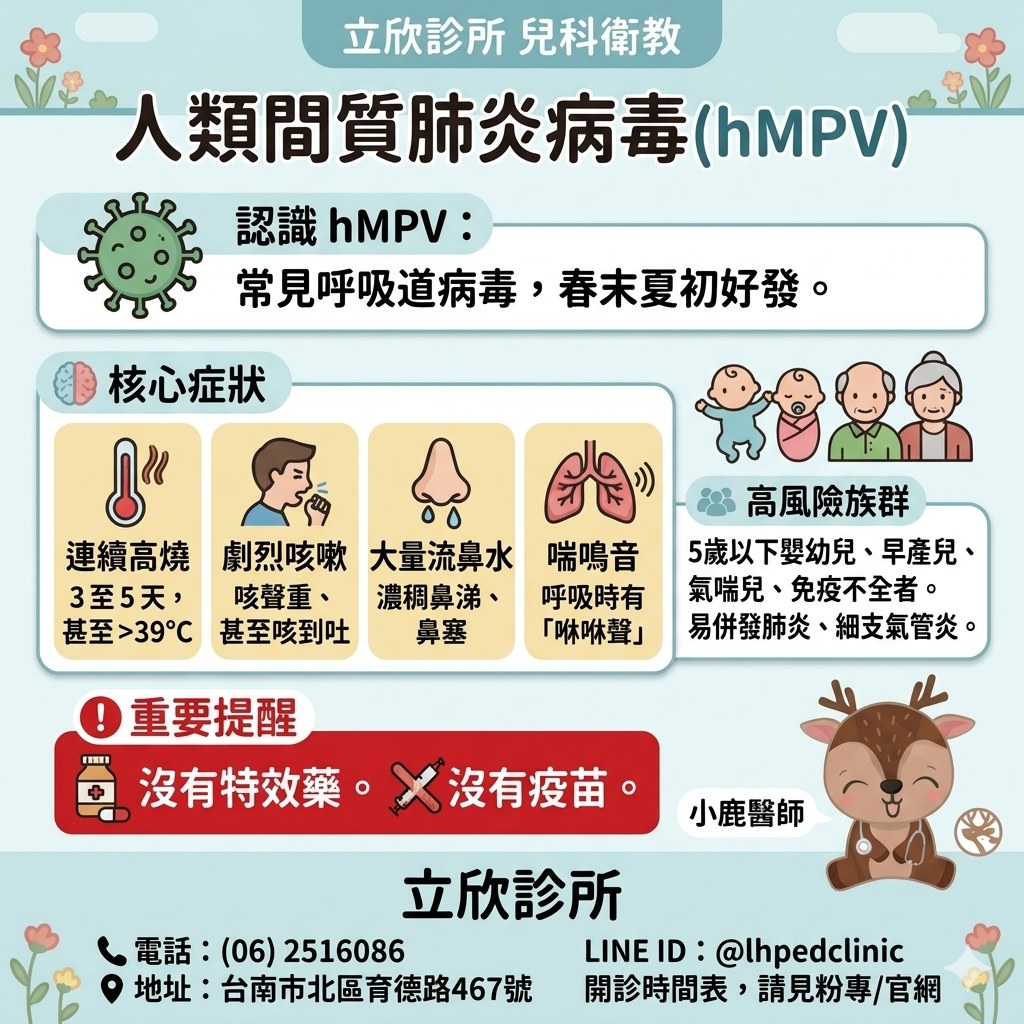 hMPV 人類間質肺炎病毒衛教重點整理：核心症狀包括連續高燒3至5天甚至超過39°C、劇烈咳嗽甚至咳到吐、大量流鼻水鼻塞、喘鳴音；高風險族群為5歲以下嬰幼兒、早產兒、氣喘兒、免疫不全者，易併發肺炎與細支氣管炎；重要提醒：hMPV沒有特效藥、沒有疫苗。立欣診所兒科衛教。