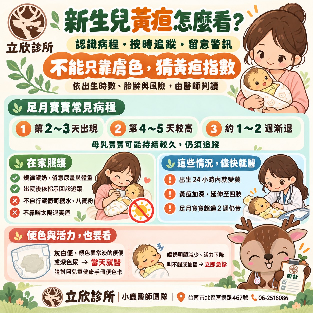 新生兒黃疸怎麼看？認識病程・按時追蹤・留意警訊——立欣診所新生兒黃疸衛教圖。不能只靠膚色猜黃疸指數，依出生時數、胎齡與風險，由醫師判讀。足月寶寶常見病程：第 2～3 天出現、第 4～5 天較高、約 1～2 週漸退，母乳寶寶可能持續較久，仍須追蹤。在家照護：規律餵奶，留意尿量與體重；出院後依指示回診追蹤；不自行餵葡萄糖水、八寶粉；不靠曬太陽退黃疸。這些情況儘快就醫：出生 24 小時內就變黃、黃疸加深或延伸至四肢、足月寶寶超過 2 週仍黃。便色與活力也要看：灰白便、顏色異常淡的便便或深色尿要當天就醫，請對照兒童健康手冊便色卡；喝奶明顯減少、活力下降、叫不醒或抽搐要立即急診。立欣診所小鹿醫師團隊，台南市北區育德路 467 號，06-2516086。