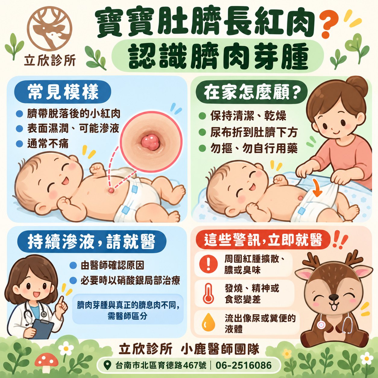 寶寶肚臍長紅肉？認識臍肉芽腫懶人包：①常見模樣——臍帶脫落後的小紅肉，表面濕潤、可能滲液，通常不痛；②在家怎麼顧——保持清潔乾燥、尿布折到肚臍下方、勿摳、勿自行用藥；③持續滲液請就醫——由醫師確認原因，必要時以硝酸銀局部治療，臍肉芽腫與真正的臍息肉不同、需醫師區分；④這些警訊立即就醫——周圍紅腫擴散、膿或臭味，發燒、精神或食慾變差，流出像尿或糞便的液體。